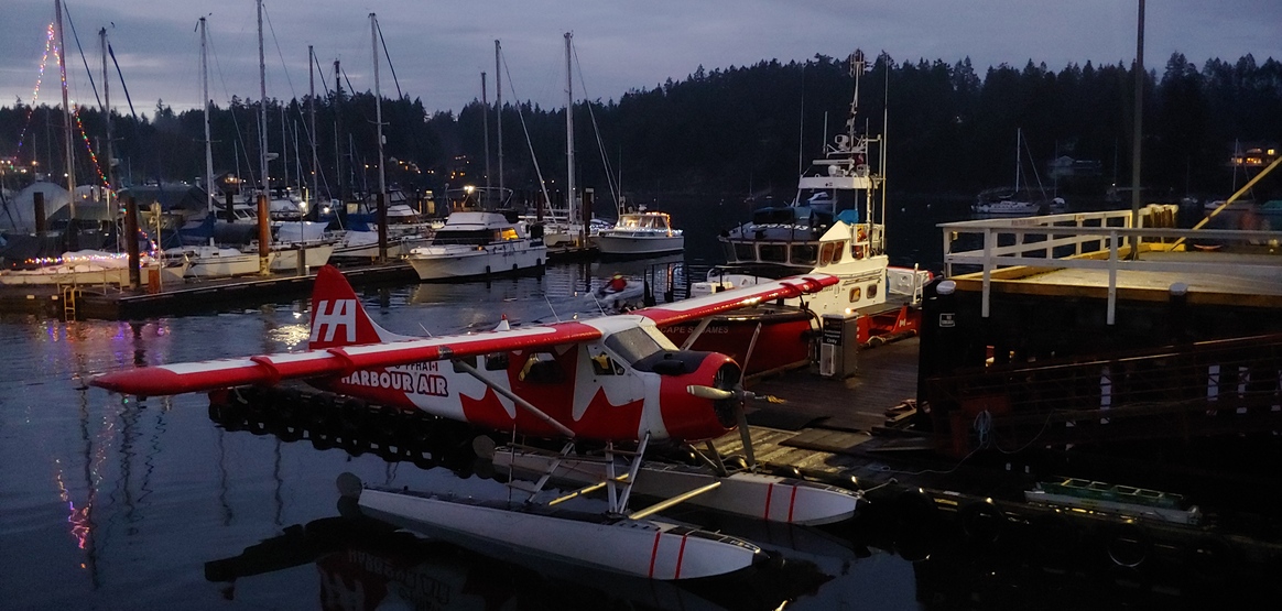 Nice Harbour Air plane