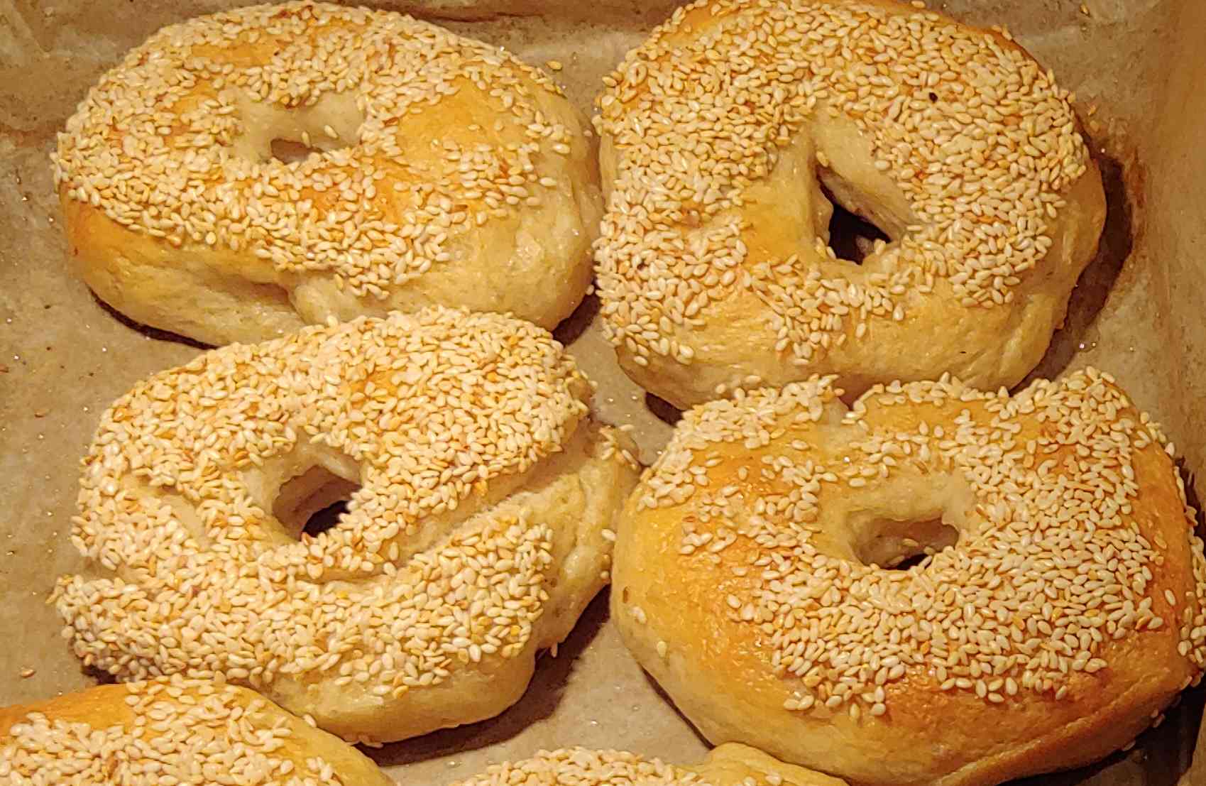 Sourdough Bagels